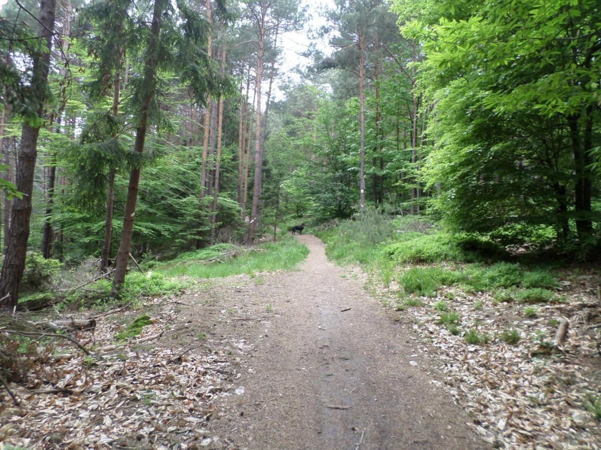 Chambres D'Hotes "La Petite Vallee" Rott Zewnętrze zdjęcie